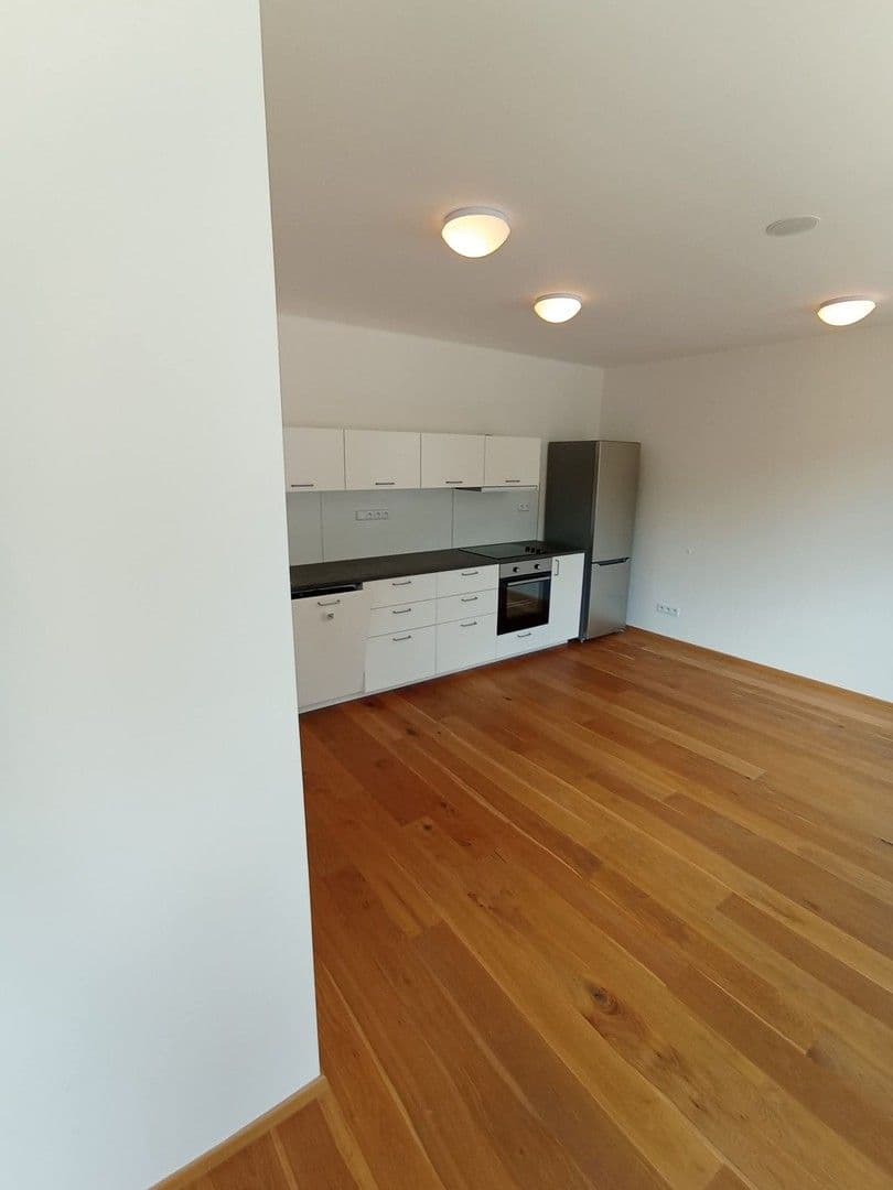 1 bedroom with open-plan kitchen flat to rent, 48 m², Perucká, Prague, Prague 1 bedroom with open-plan kitchen flat to rent, 48 m², Perucká, Prague, Prague