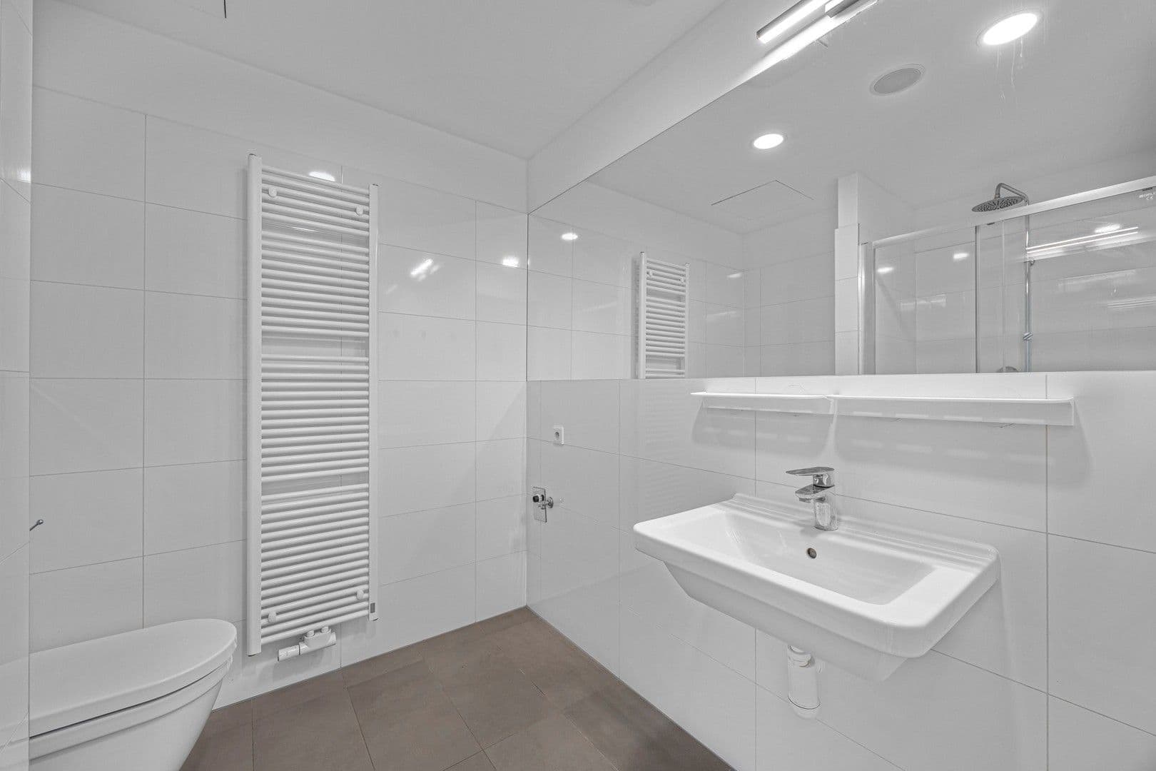 1 bedroom with open-plan kitchen flat to rent, 48 m², Perucká, Prague, Prague 1 bedroom with open-plan kitchen flat to rent, 48 m², Perucká, Prague, Prague