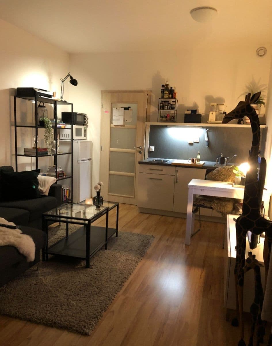Studio flat to rent, 37 m², Freyova, Prague, Prague Studio flat to rent, 37 m², Freyova, Prague, Prague
