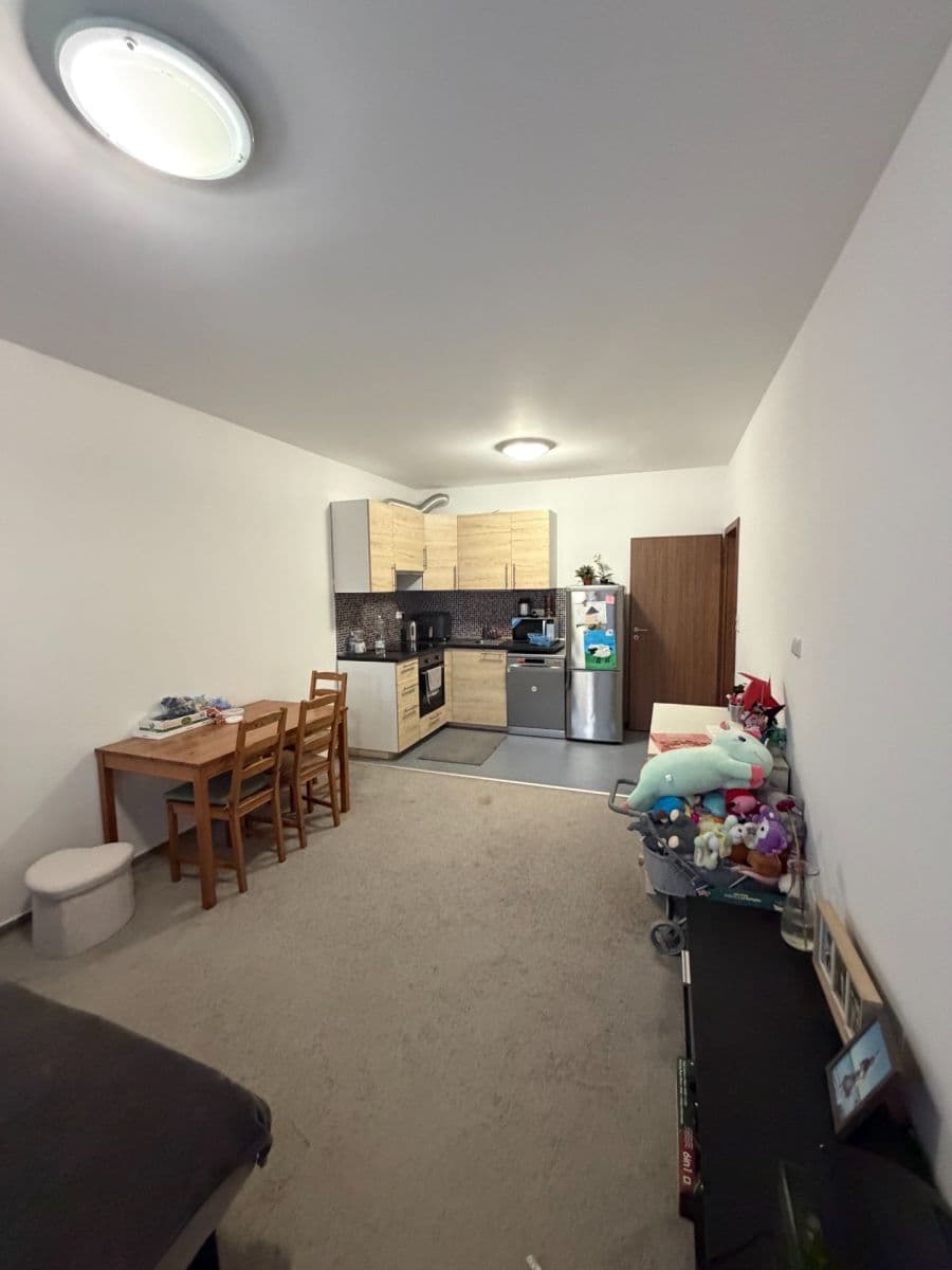 1 bedroom with open-plan kitchen flat to rent, 55 m², Makedonská, Prague, Prague 1 bedroom with open-plan kitchen flat to rent, 55 m², Makedonská, Prague, Prague