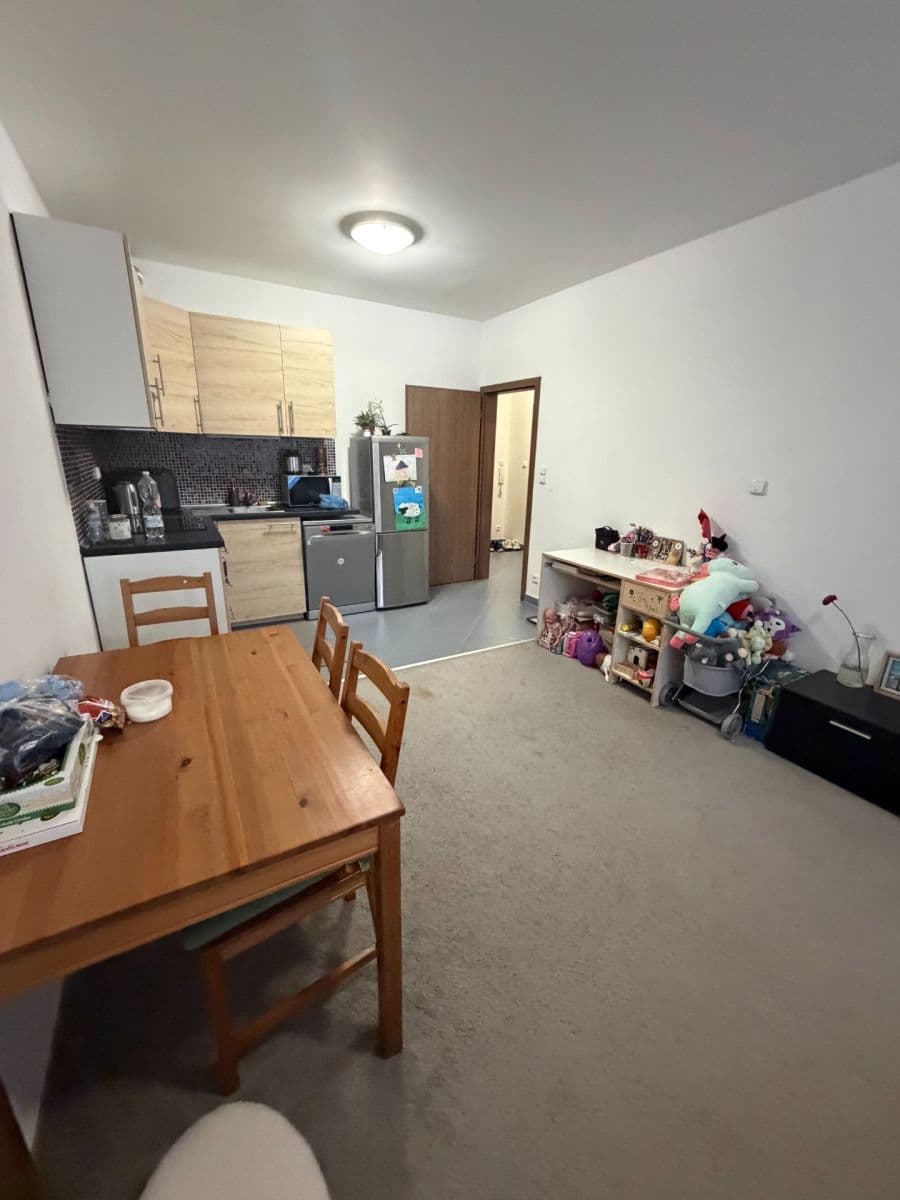 1 bedroom with open-plan kitchen flat to rent, 55 m², Makedonská, Prague, Prague 1 bedroom with open-plan kitchen flat to rent, 55 m², Makedonská, Prague, Prague