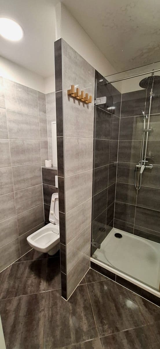 1 bedroom with open-plan kitchen flat to rent, 41 m², Ratibořská, Prague, Prague 1 bedroom with open-plan kitchen flat to rent, 41 m², Ratibořská, Prague, Prague