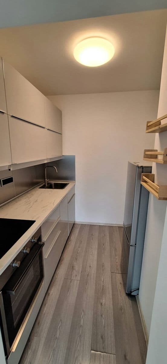 1 bedroom with open-plan kitchen flat to rent, 41 m², Ratibořská, Prague, Prague 1 bedroom with open-plan kitchen flat to rent, 41 m², Ratibořská, Prague, Prague