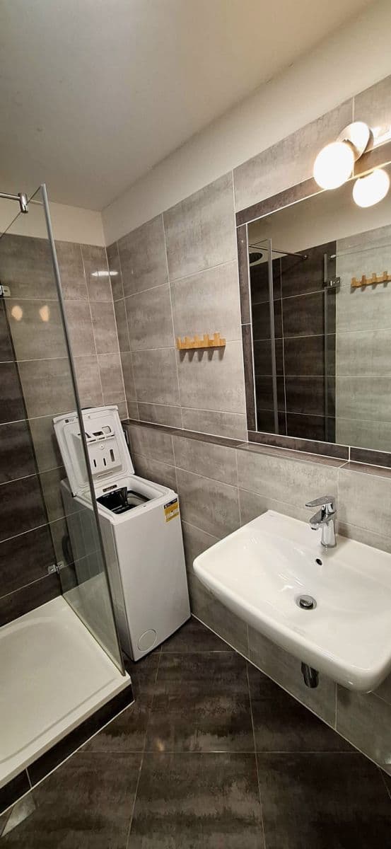 1 bedroom with open-plan kitchen flat to rent, 41 m², Ratibořská, Prague, Prague 1 bedroom with open-plan kitchen flat to rent, 41 m², Ratibořská, Prague, Prague