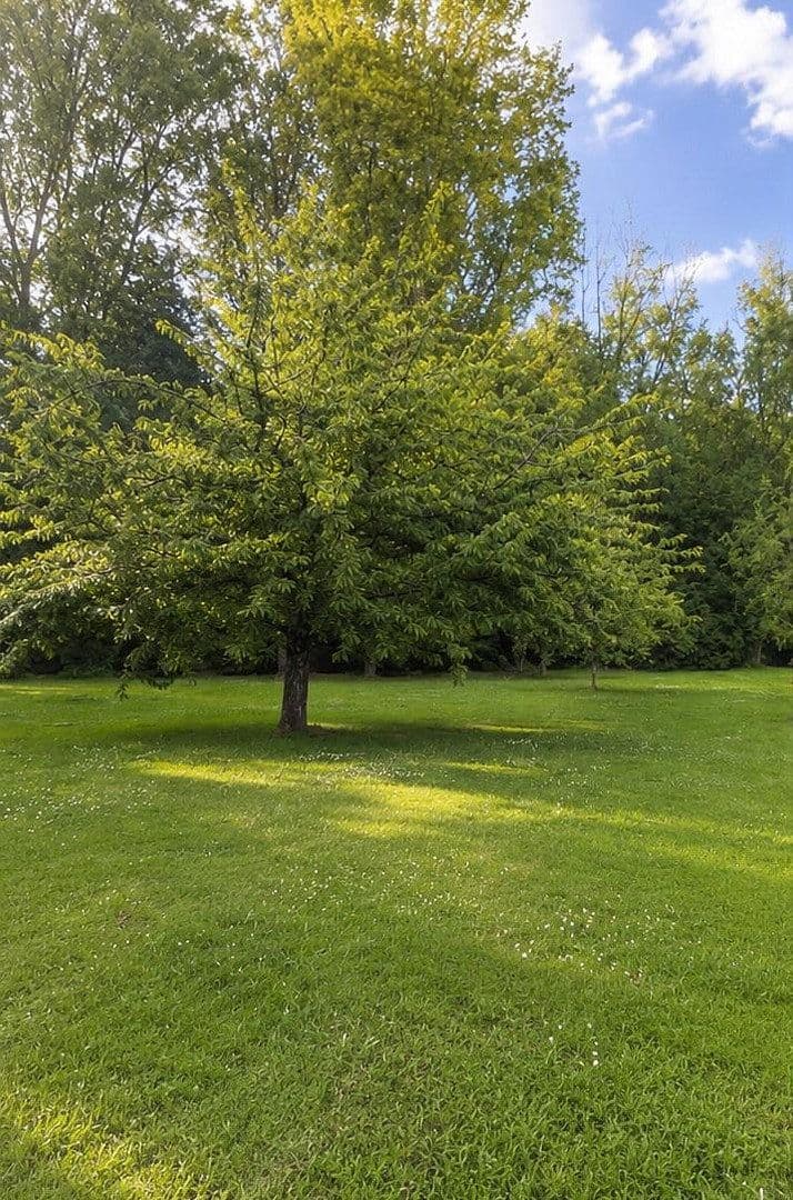 3 bedroom flat for sale, 55 m², Oberhausen, North Rhine-Westphalia 3 bedroom flat for sale, 55 m², Oberhausen, North Rhine-Westphalia