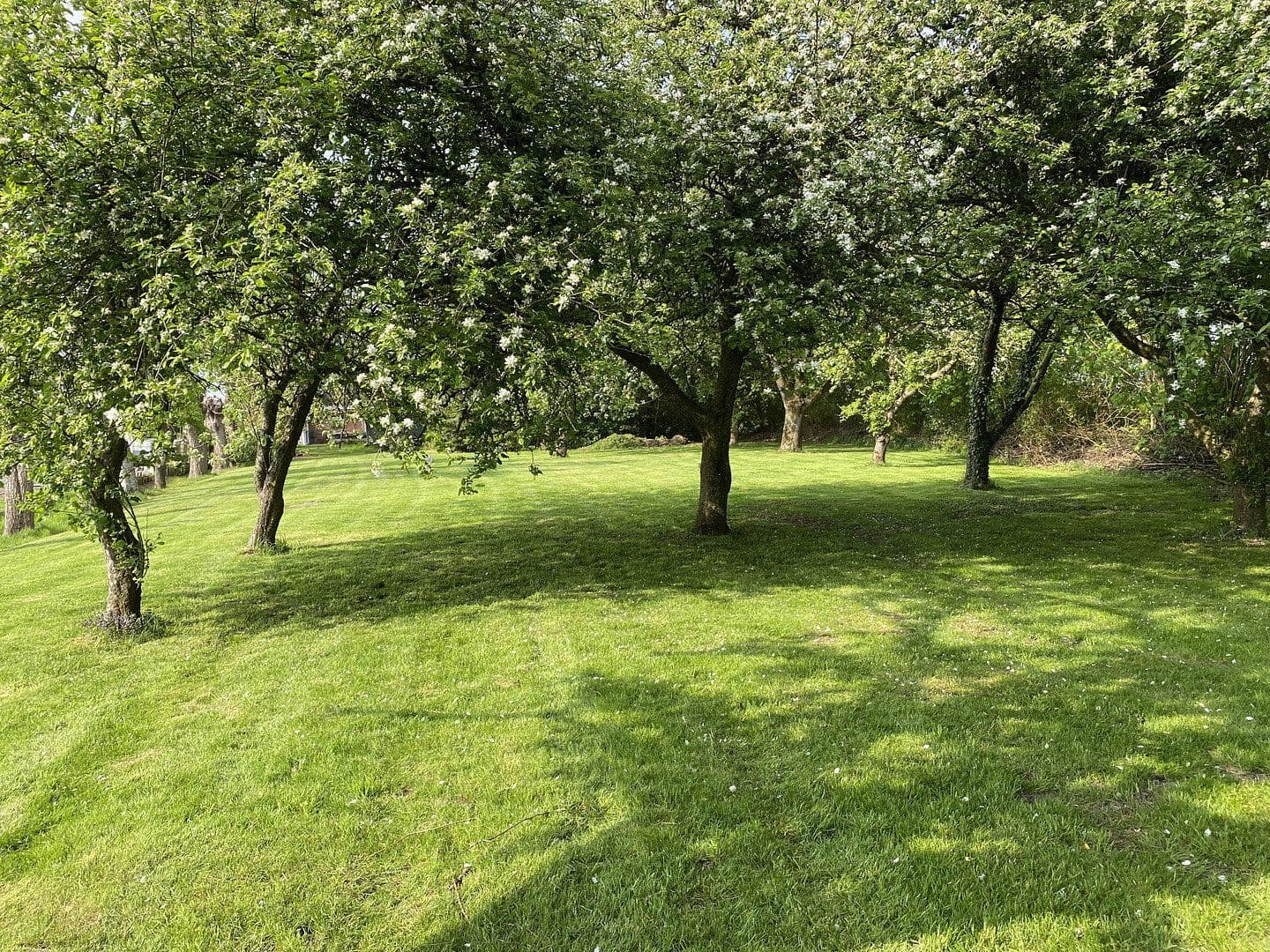 house for sale, 139 m², Oederquart, Lower Saxony house for sale, 139 m², Oederquart, Lower Saxony