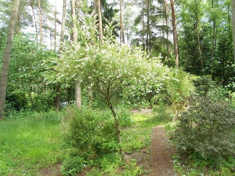 plot for sale, 2,060 m², Alter Postweg 137, Neu Wulmstorf, Lower Saxony plot for sale, 2,060 m², Alter Postweg 137, Neu Wulmstorf, Lower Saxony
