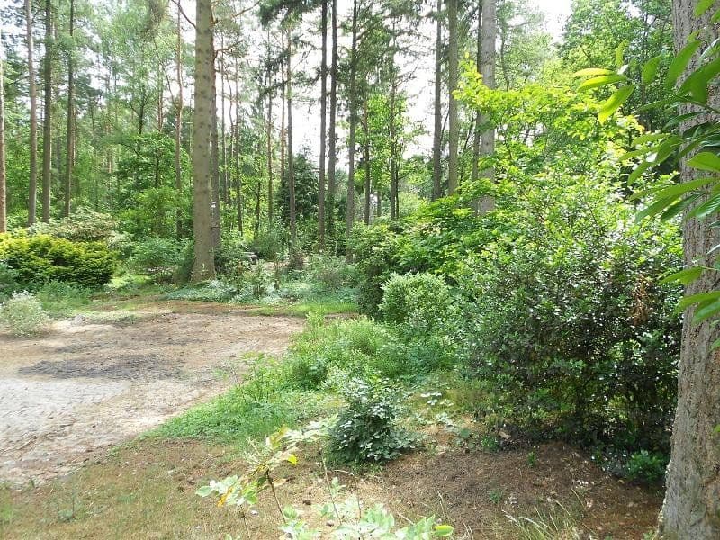 plot for sale, 2,060 m², Alter Postweg 137, Neu Wulmstorf, Lower Saxony plot for sale, 2,060 m², Alter Postweg 137, Neu Wulmstorf, Lower Saxony