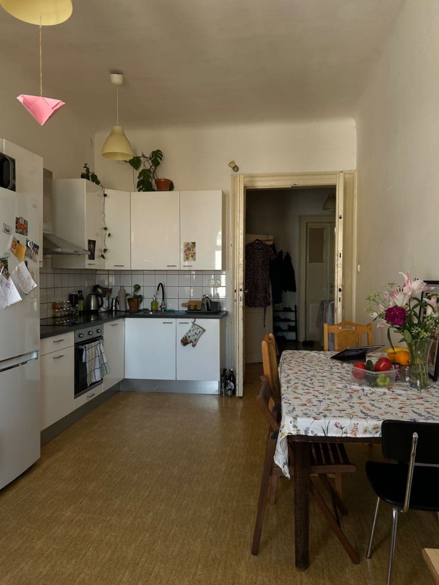 2 bedroom with open-plan kitchen flat to rent, 24 m², Slezská, Prague, Prague 2 bedroom with open-plan kitchen flat to rent, 24 m², Slezská, Prague, Prague