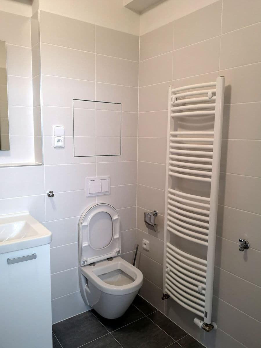 1 bedroom with open-plan kitchen flat to rent, 48 m², Kadečkové, Prague, Prague 1 bedroom with open-plan kitchen flat to rent, 48 m², Kadečkové, Prague, Prague