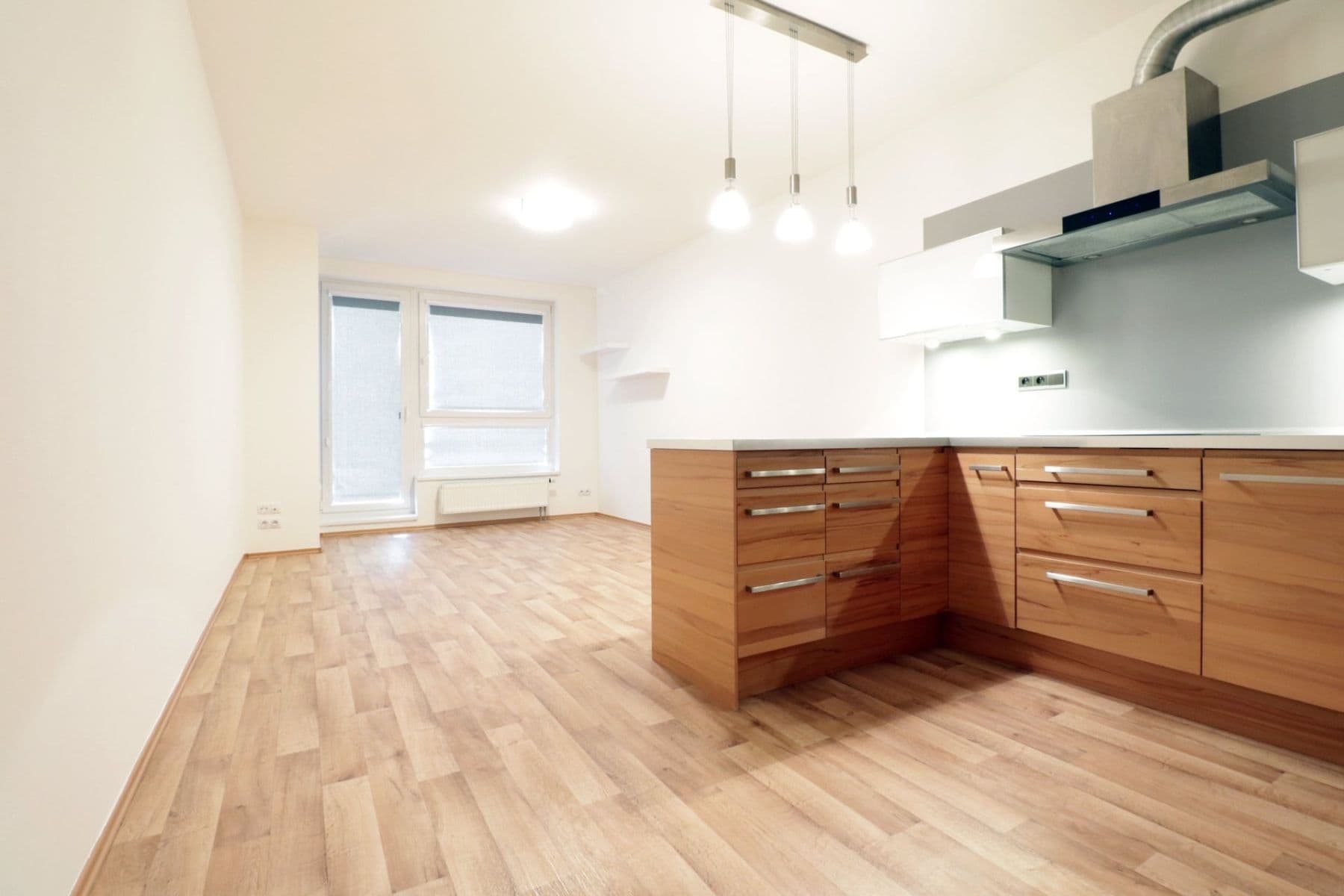 1 bedroom with open-plan kitchen flat to rent, 64 m², Pod Harfou, Prague, Prague 1 bedroom with open-plan kitchen flat to rent, 64 m², Pod Harfou, Prague, Prague