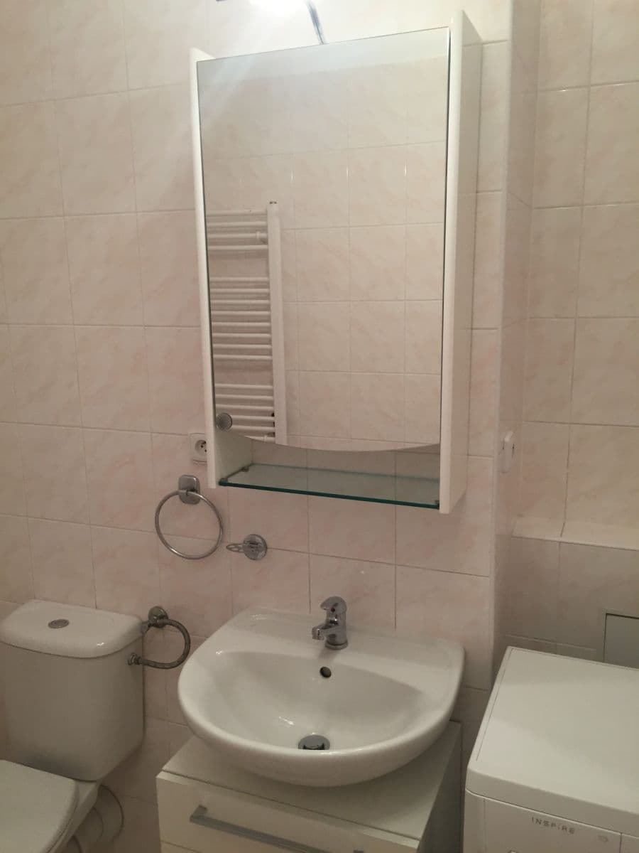 1 bedroom with open-plan kitchen flat to rent, 50 m², Pod Harfou, Prague, Prague 1 bedroom with open-plan kitchen flat to rent, 50 m², Pod Harfou, Prague, Prague