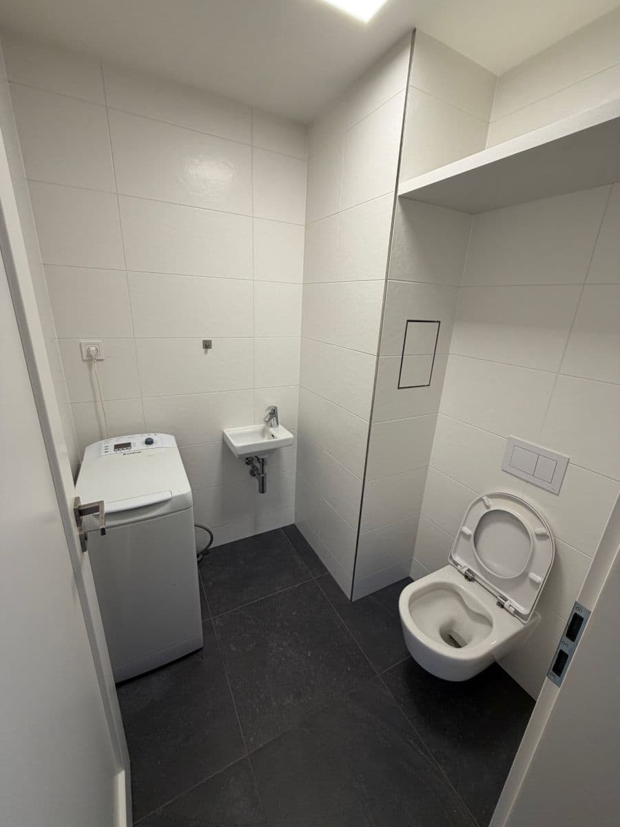 1 bedroom with open-plan kitchen flat to rent, 52 m², Limuzská, Prague, Prague 1 bedroom with open-plan kitchen flat to rent, 52 m², Limuzská, Prague, Prague