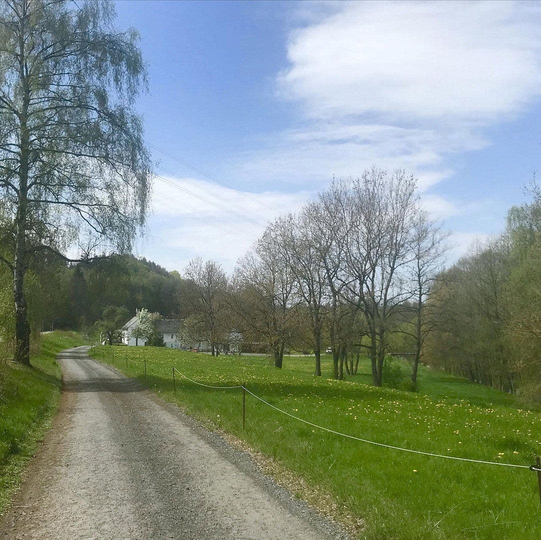 house for sale, 393 m², Schleiz, Thuringia house for sale, 393 m², Schleiz, Thuringia