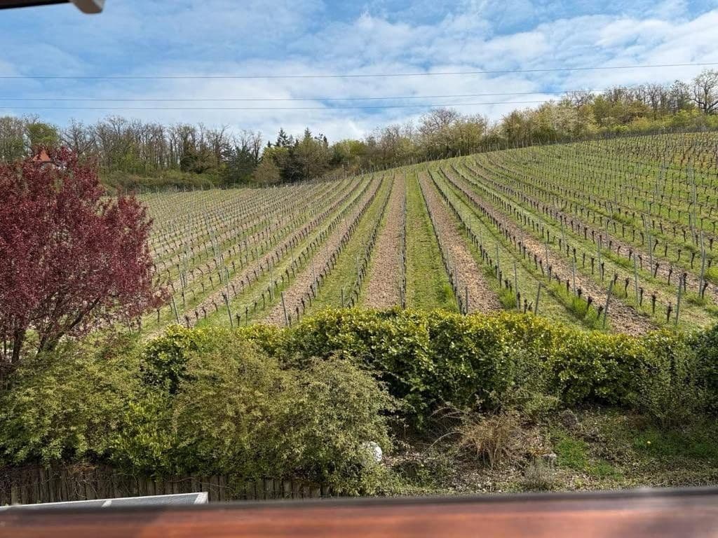 house for sale, 180 m², Sommerhausen, Bavaria house for sale, 180 m², Sommerhausen, Bavaria