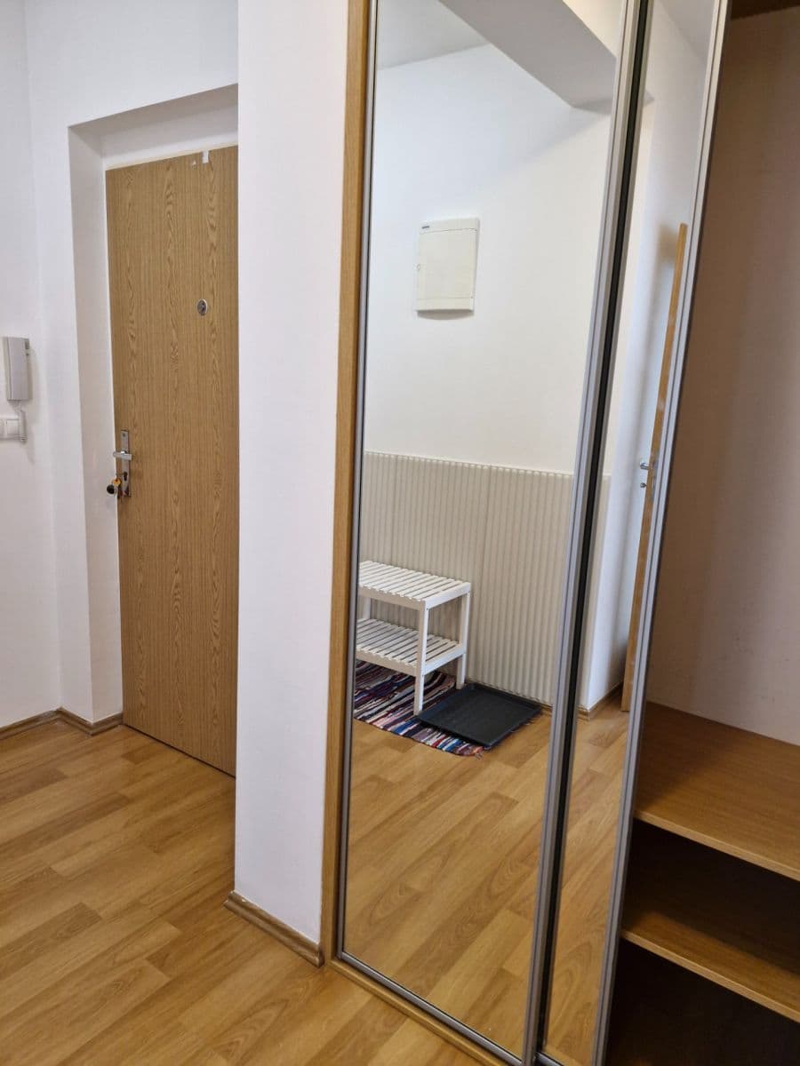 1 bedroom with open-plan kitchen flat to rent, 46 m², Václava Trojana, Prague, Prague 1 bedroom with open-plan kitchen flat to rent, 46 m², Václava Trojana, Prague, Prague
