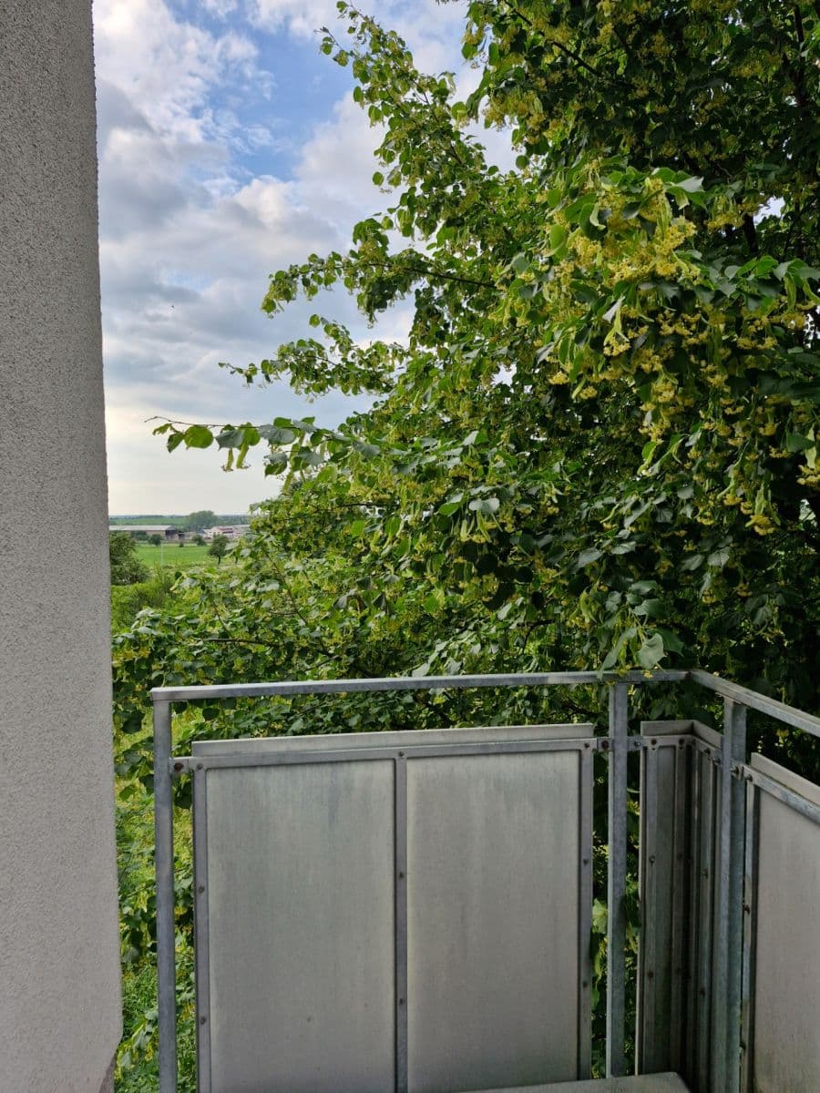 1 bedroom with open-plan kitchen flat to rent, 46 m², Václava Trojana, Prague, Prague 1 bedroom with open-plan kitchen flat to rent, 46 m², Václava Trojana, Prague, Prague