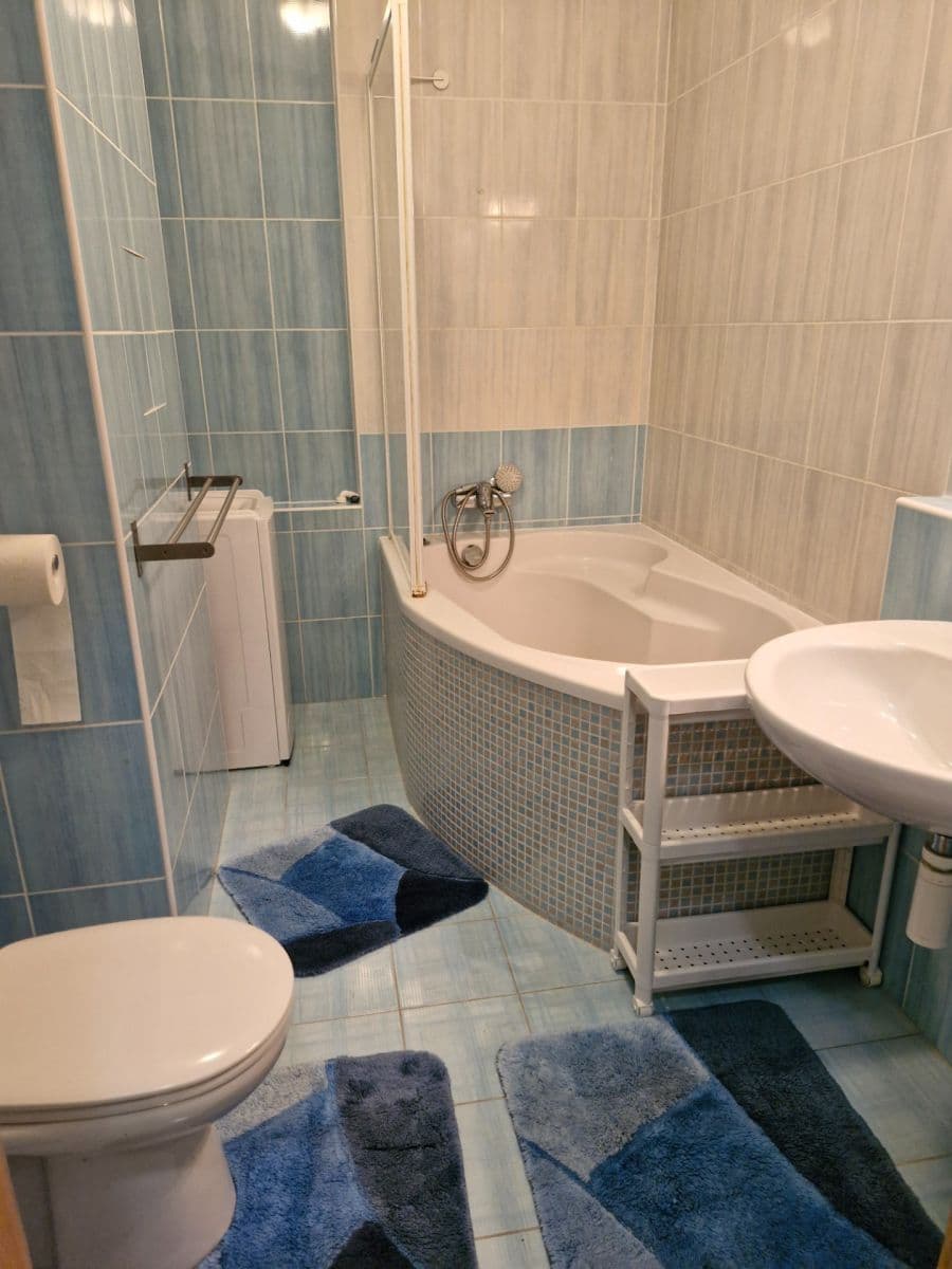 1 bedroom with open-plan kitchen flat to rent, 46 m², Václava Trojana, Prague, Prague 1 bedroom with open-plan kitchen flat to rent, 46 m², Václava Trojana, Prague, Prague