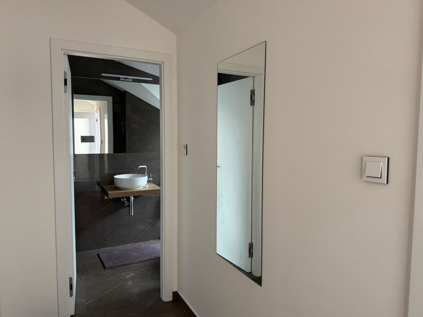 1 bedroom with open-plan kitchen flat to rent, 39 m², Peckova, Prague, Prague 1 bedroom with open-plan kitchen flat to rent, 39 m², Peckova, Prague, Prague
