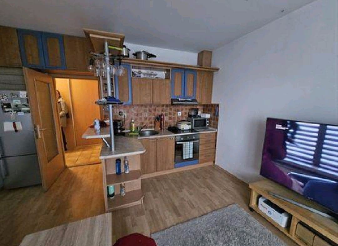 1 bedroom with open-plan kitchen flat to rent, 43 m², U Kasáren, Mladá Boleslav, Středočeský Region 1 bedroom with open-plan kitchen flat to rent, 43 m², U Kasáren, Mladá Boleslav, Středočeský Region