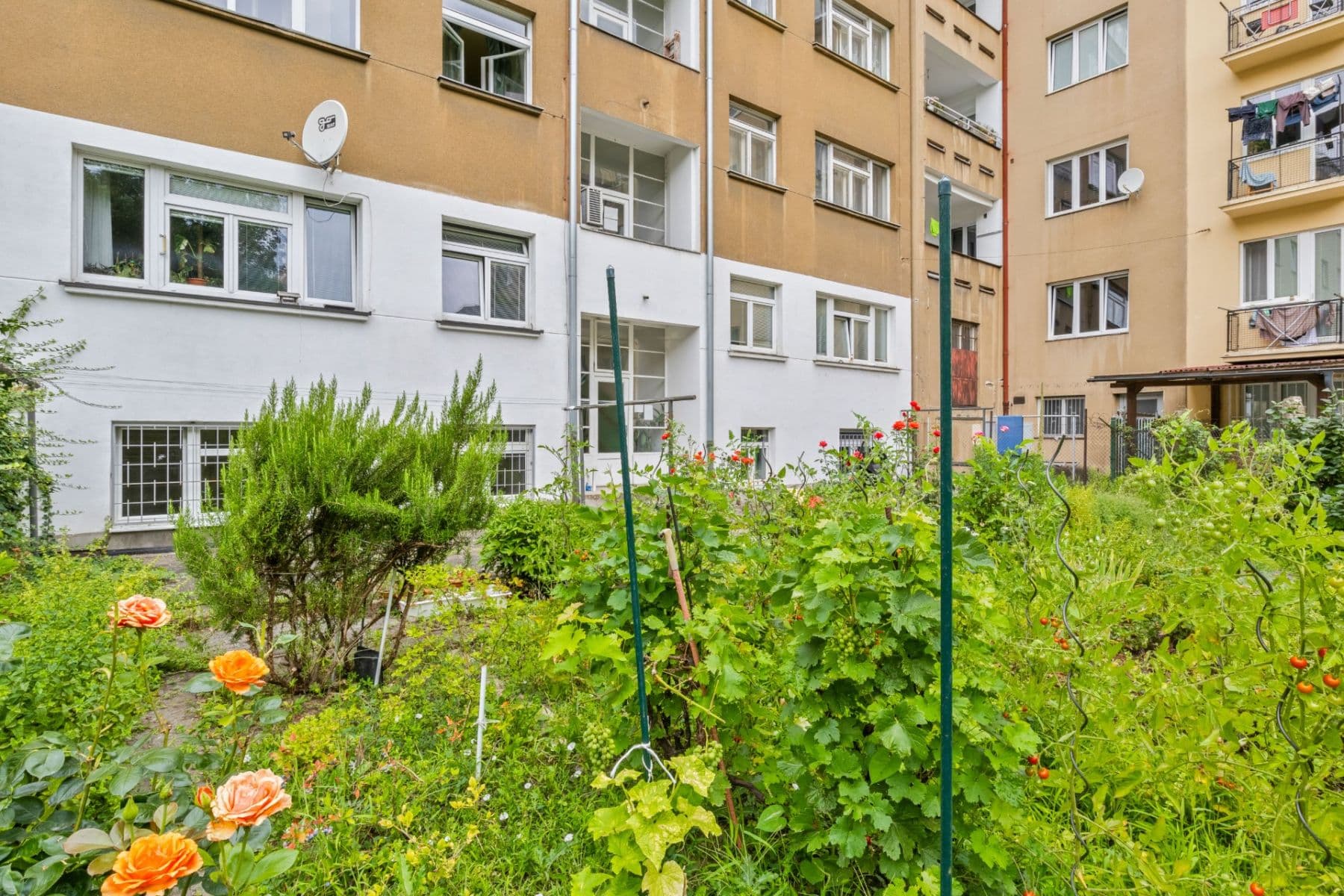 1 bedroom with open-plan kitchen flat to rent, 44 m², Podolská, Prague, Prague 1 bedroom with open-plan kitchen flat to rent, 44 m², Podolská, Prague, Prague