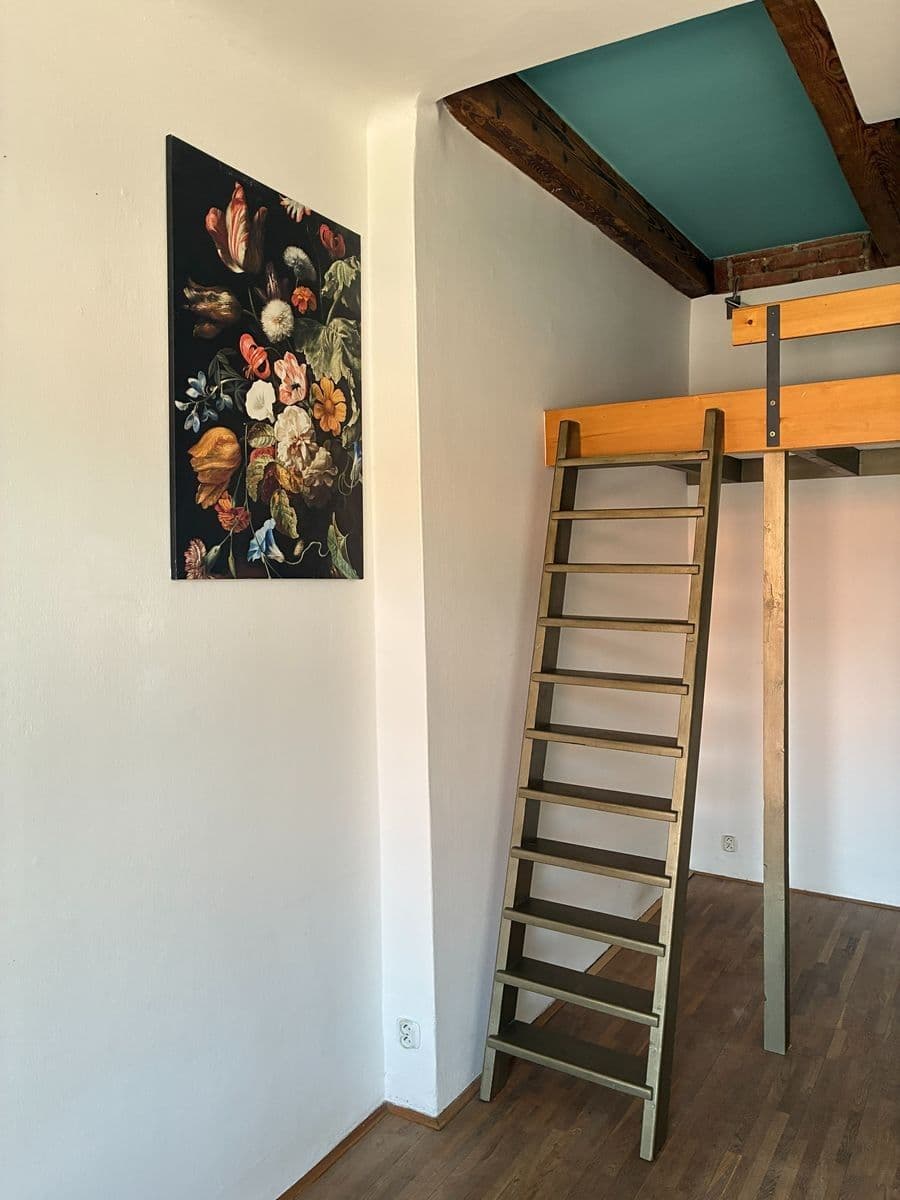 1 bedroom with open-plan kitchen flat to rent, 53 m², U Uranie, Prague, Prague 1 bedroom with open-plan kitchen flat to rent, 53 m², U Uranie, Prague, Prague