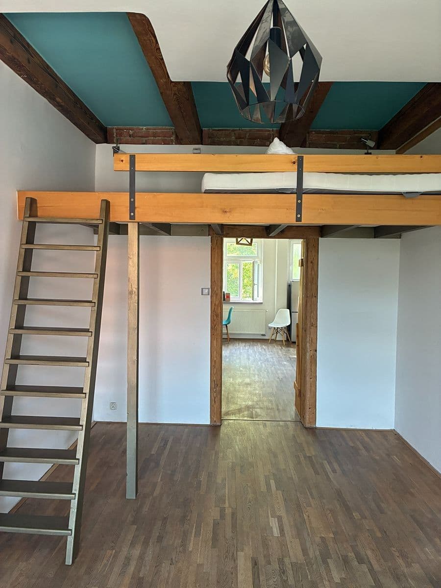 1 bedroom with open-plan kitchen flat to rent, 53 m², U Uranie, Prague, Prague 1 bedroom with open-plan kitchen flat to rent, 53 m², U Uranie, Prague, Prague