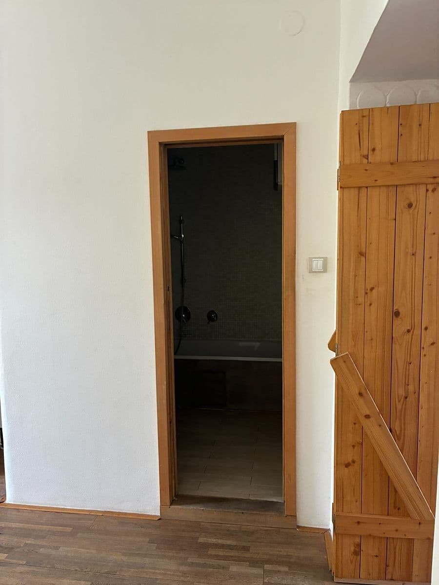 1 bedroom with open-plan kitchen flat to rent, 53 m², U Uranie, Prague, Prague 1 bedroom with open-plan kitchen flat to rent, 53 m², U Uranie, Prague, Prague