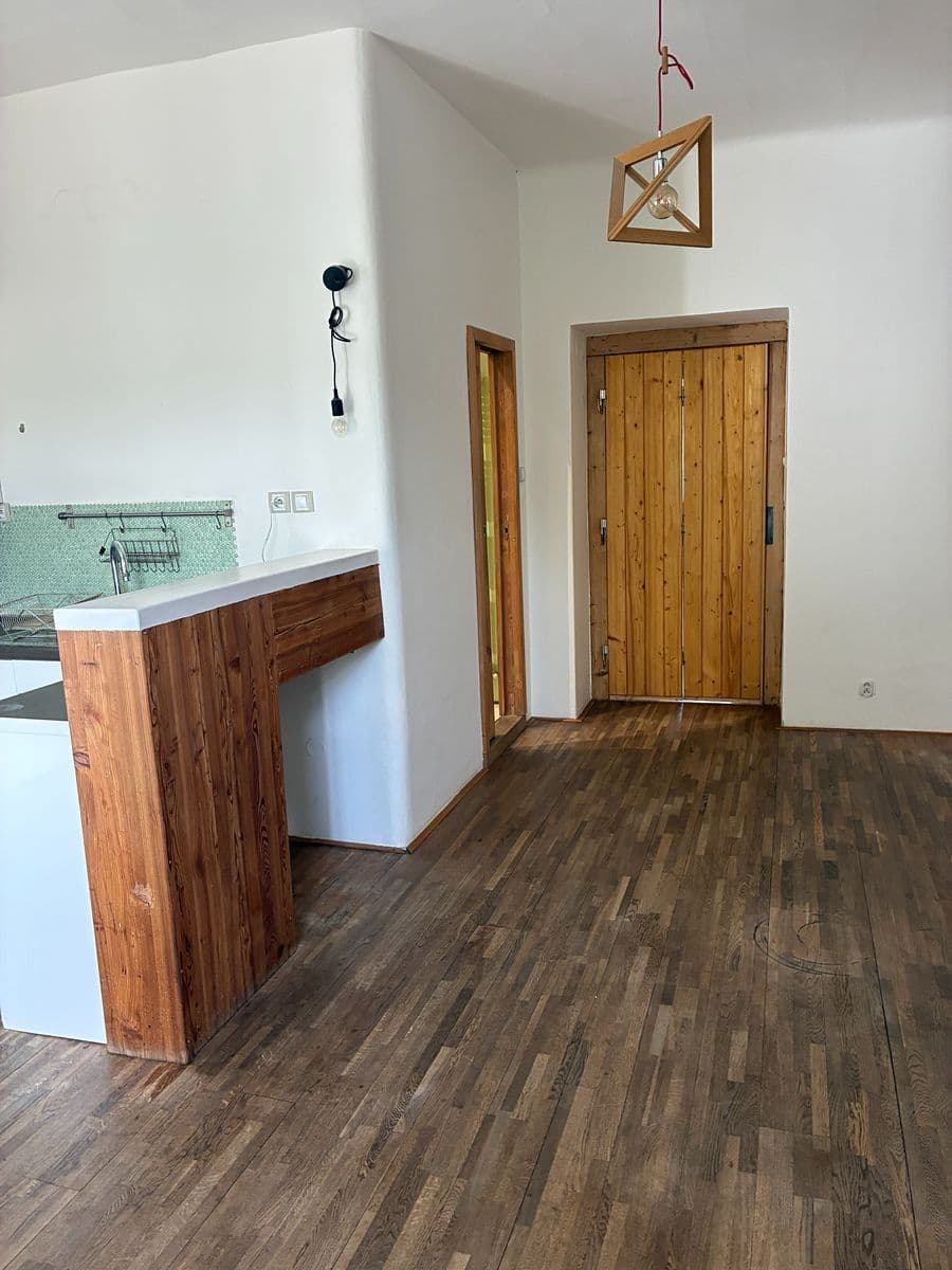 1 bedroom with open-plan kitchen flat to rent, 53 m², U Uranie, Prague, Prague 1 bedroom with open-plan kitchen flat to rent, 53 m², U Uranie, Prague, Prague