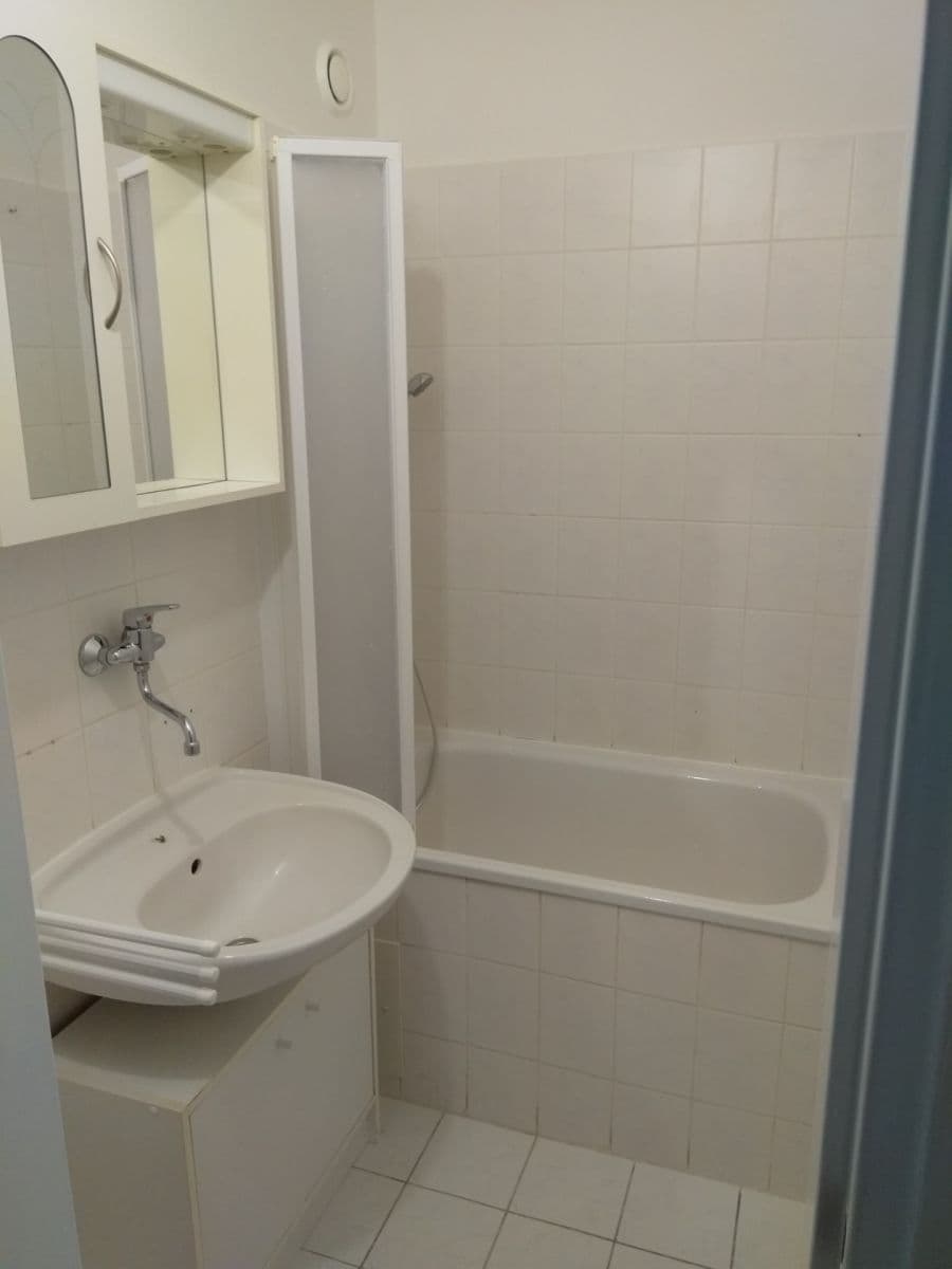 1 bedroom with open-plan kitchen flat to rent, 39 m², Bryksova, Prague, Prague 1 bedroom with open-plan kitchen flat to rent, 39 m², Bryksova, Prague, Prague