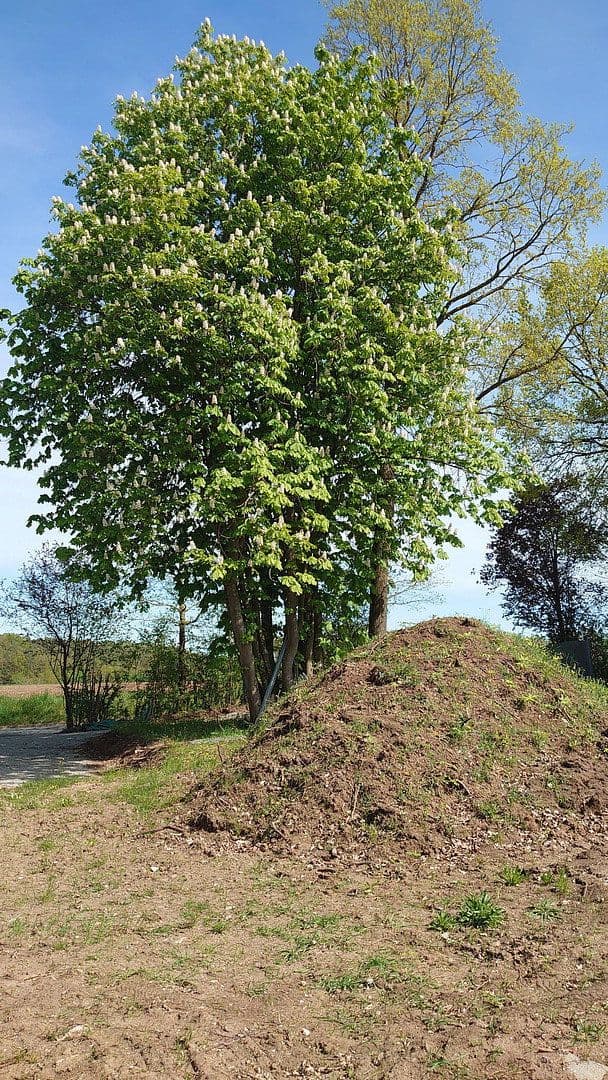 plot for sale, 1,864 m², Seubersdorf 19, Dietenhofen, Bavaria plot for sale, 1,864 m², Seubersdorf 19, Dietenhofen, Bavaria