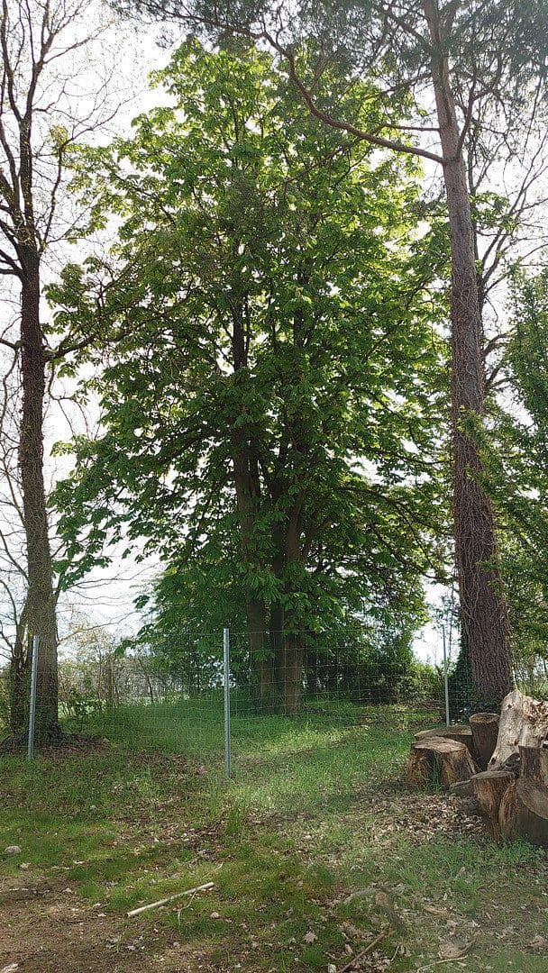 plot for sale, 1,864 m², Seubersdorf 19, Dietenhofen, Bavaria plot for sale, 1,864 m², Seubersdorf 19, Dietenhofen, Bavaria