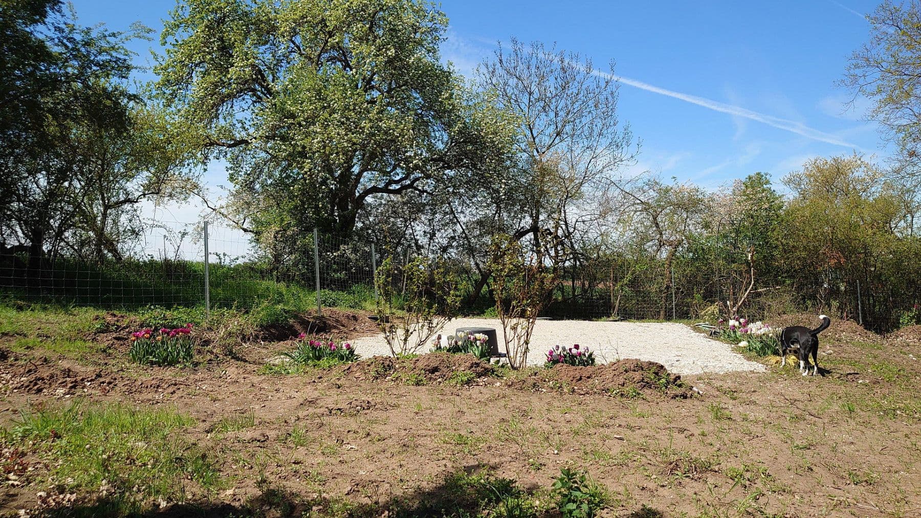 plot for sale, 1,864 m², Seubersdorf 19, Dietenhofen, Bavaria plot for sale, 1,864 m², Seubersdorf 19, Dietenhofen, Bavaria