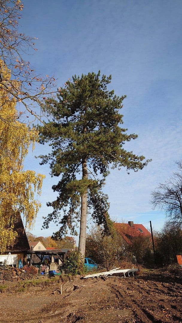 plot for sale, 1,864 m², Seubersdorf 19, Dietenhofen, Bavaria plot for sale, 1,864 m², Seubersdorf 19, Dietenhofen, Bavaria