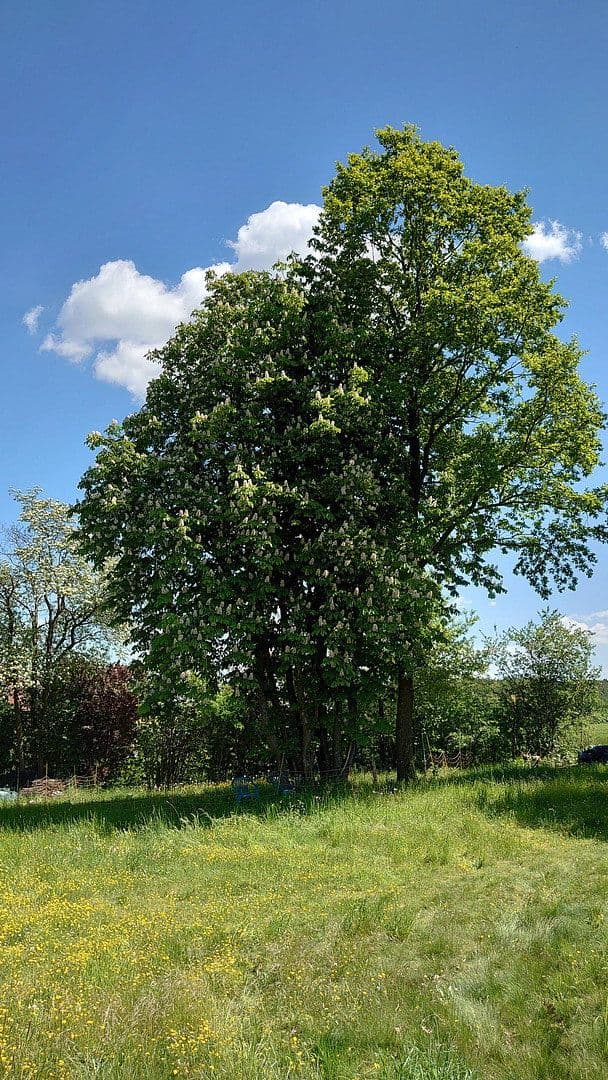 plot for sale, 1,864 m², Seubersdorf 19, Dietenhofen, Bavaria plot for sale, 1,864 m², Seubersdorf 19, Dietenhofen, Bavaria