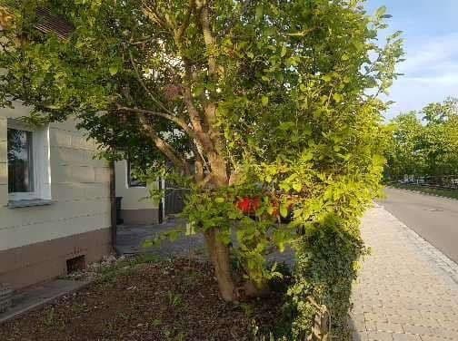 house for sale, 91 m², Windsbach, Bavaria house for sale, 91 m², Windsbach, Bavaria
