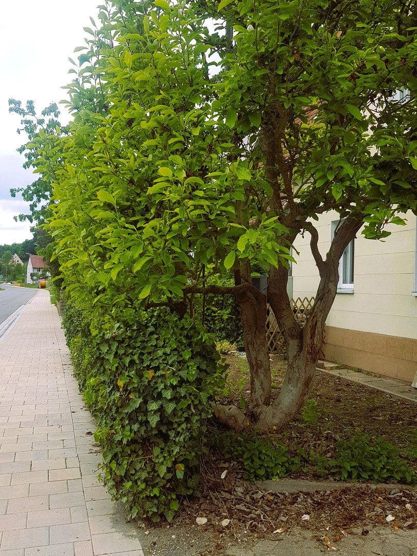 house for sale, 91 m², Windsbach, Bavaria house for sale, 91 m², Windsbach, Bavaria
