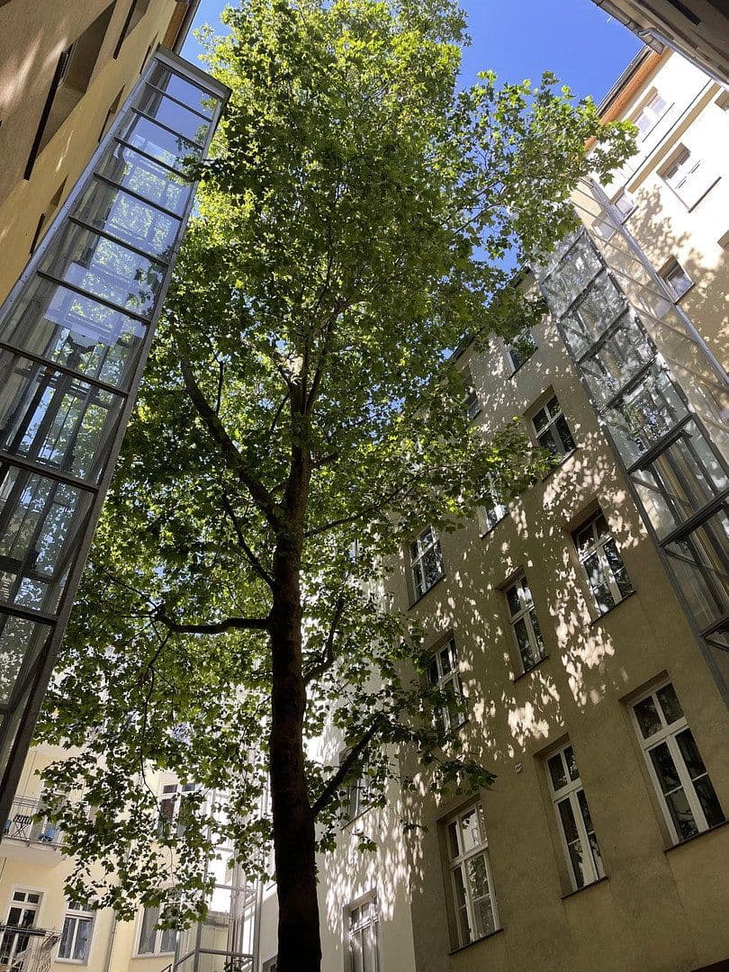 1 bedroom flat for sale, 52 m², Berlin Prenzlauerberg, Berlin 1 bedroom flat for sale, 52 m², Berlin Prenzlauerberg, Berlin