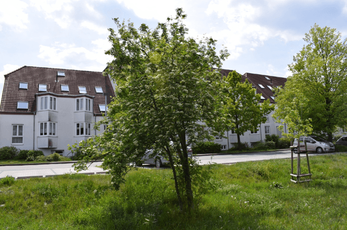 3 bedroom flat to rent, 75 m², Veilchenweg 3, Wildau, Brandenburg 3 bedroom flat to rent, 75 m², Veilchenweg 3, Wildau, Brandenburg