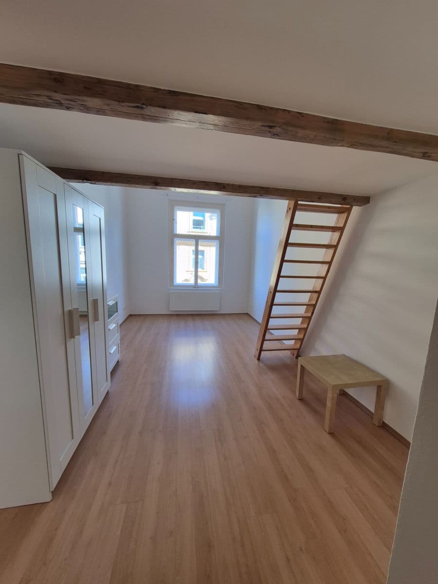 1 bedroom with open-plan kitchen flat to rent, 48 m², Boleslavova, Prague, Prague 1 bedroom with open-plan kitchen flat to rent, 48 m², Boleslavova, Prague, Prague