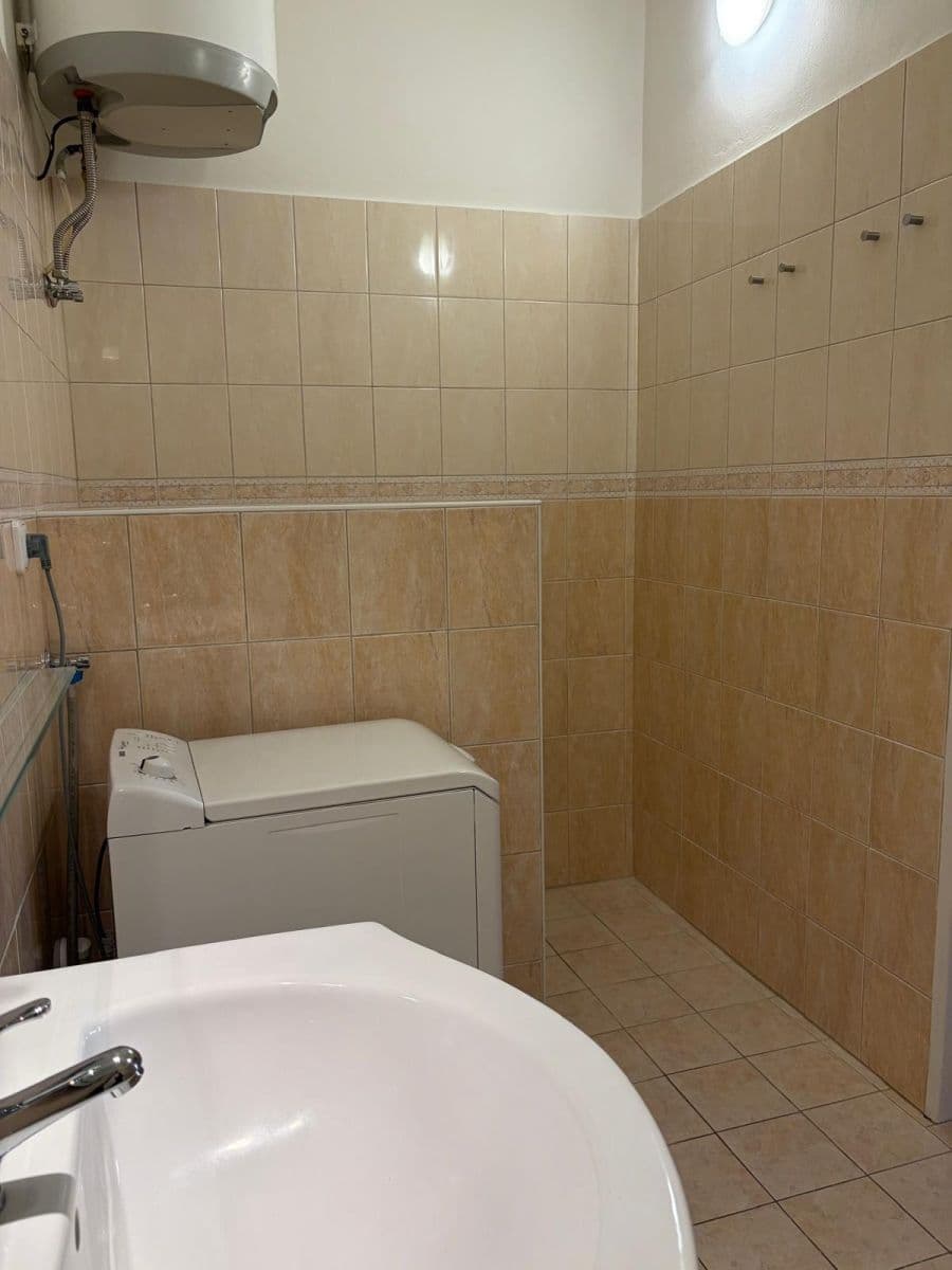 1 bedroom with open-plan kitchen flat to rent, 48 m², Boleslavova, Prague, Prague 1 bedroom with open-plan kitchen flat to rent, 48 m², Boleslavova, Prague, Prague