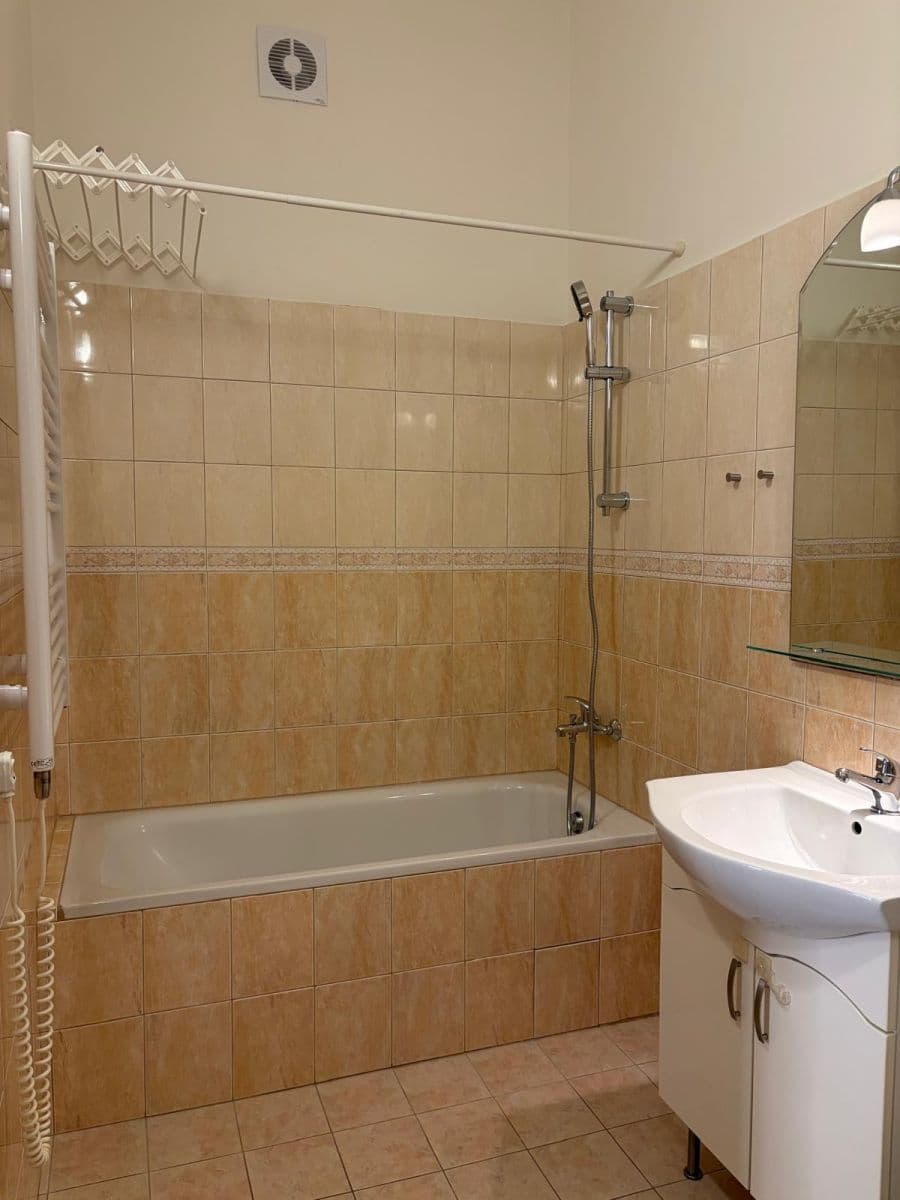 1 bedroom with open-plan kitchen flat to rent, 48 m², Boleslavova, Prague, Prague 1 bedroom with open-plan kitchen flat to rent, 48 m², Boleslavova, Prague, Prague