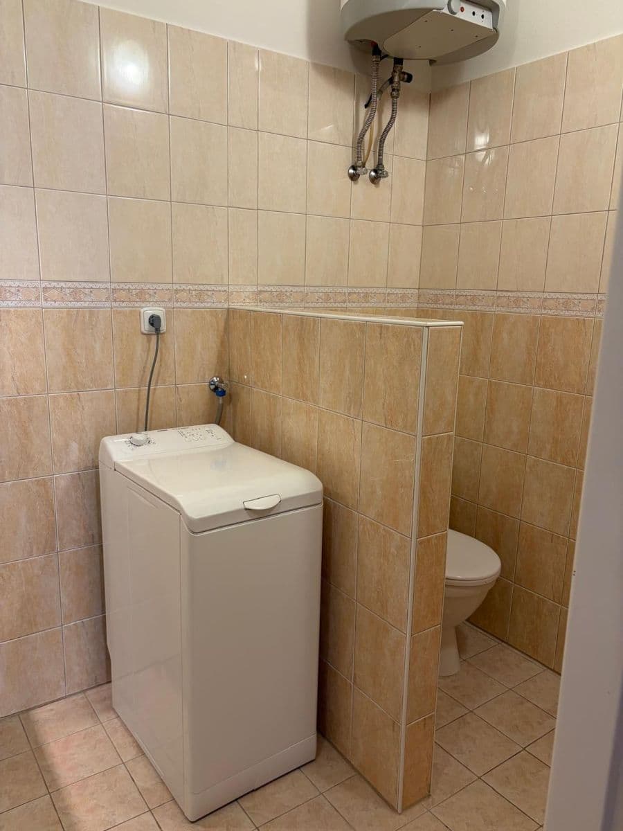 1 bedroom with open-plan kitchen flat to rent, 48 m², Boleslavova, Prague, Prague 1 bedroom with open-plan kitchen flat to rent, 48 m², Boleslavova, Prague, Prague