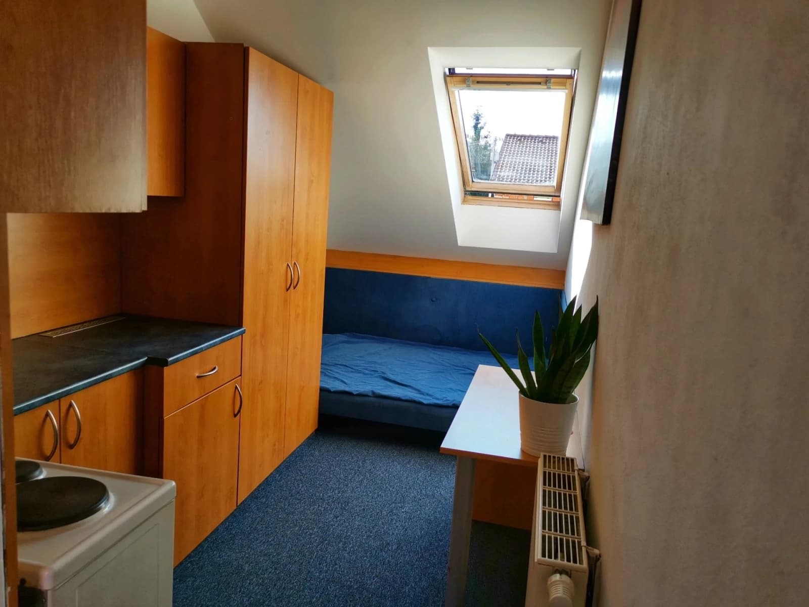 Small studio flat to rent, 18 m², Rousínov, Jihomoravský Region Small studio flat to rent, 18 m², Rousínov, Jihomoravský Region