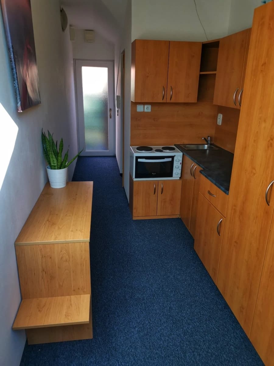 Small studio flat to rent, 18 m², Rousínov, Jihomoravský Region Small studio flat to rent, 18 m², Rousínov, Jihomoravský Region