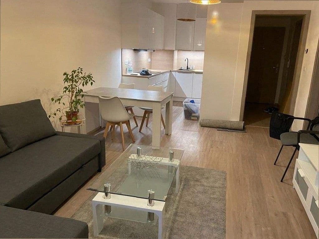 1 bedroom with open-plan kitchen flat to rent, 51 m², Do Zahrádek I, Prague, Prague 1 bedroom with open-plan kitchen flat to rent, 51 m², Do Zahrádek I, Prague, Prague