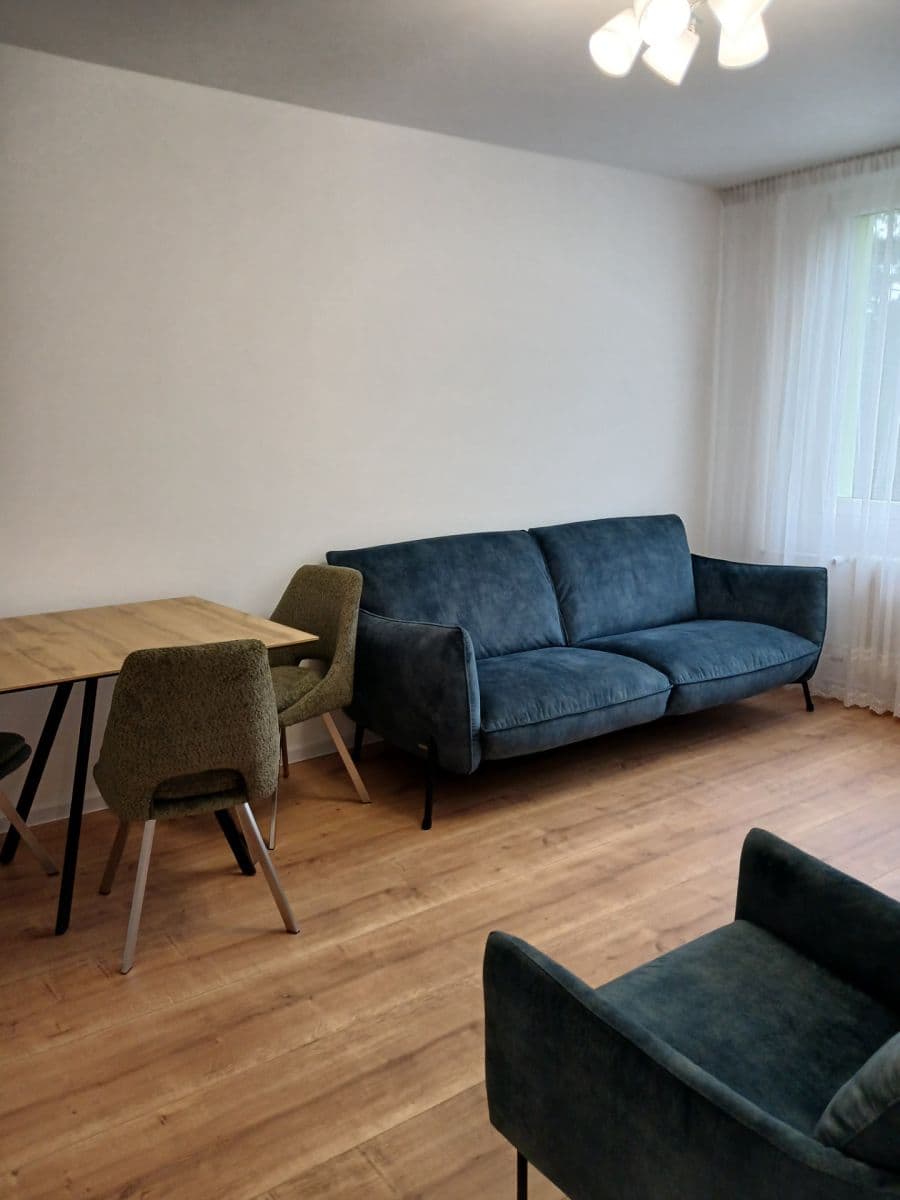 1 bedroom with open-plan kitchen flat to rent, 42 m², Kusého, Prague, Prague 1 bedroom with open-plan kitchen flat to rent, 42 m², Kusého, Prague, Prague