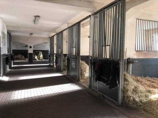 recreational property to rent, 63,000 m², Gülzow-Prüzen, Mecklenburg-Vorpommern recreational property to rent, 63,000 m², Gülzow-Prüzen, Mecklenburg-Vorpommern