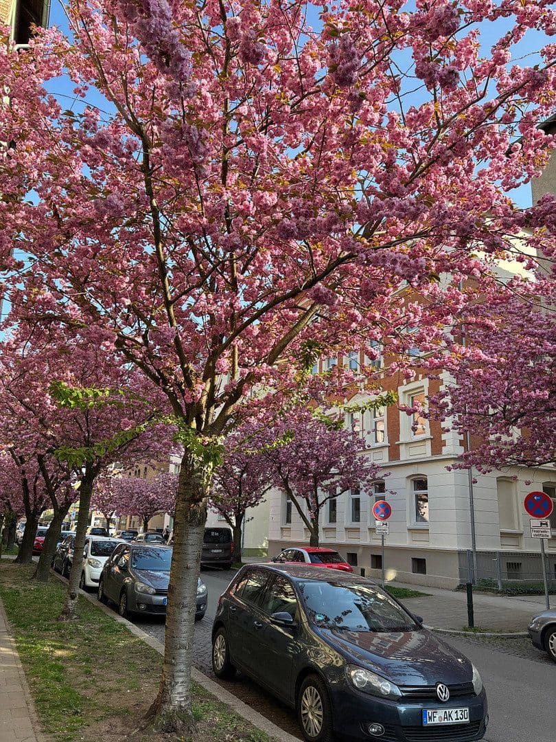 2 bedroom flat to rent, 62 m², Braunschweig, Lower Saxony 2 bedroom flat to rent, 62 m², Braunschweig, Lower Saxony