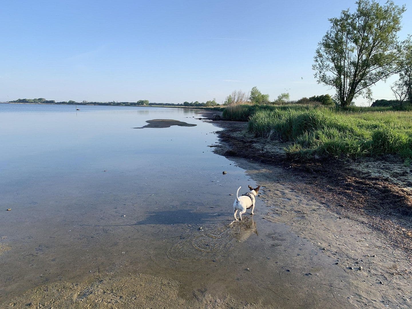 non-residential property for sale, 6,000 m², Poggenhof 25, Schaprode, Mecklenburg-Vorpommern non-residential property for sale, 6,000 m², Poggenhof 25, Schaprode, Mecklenburg-Vorpommern